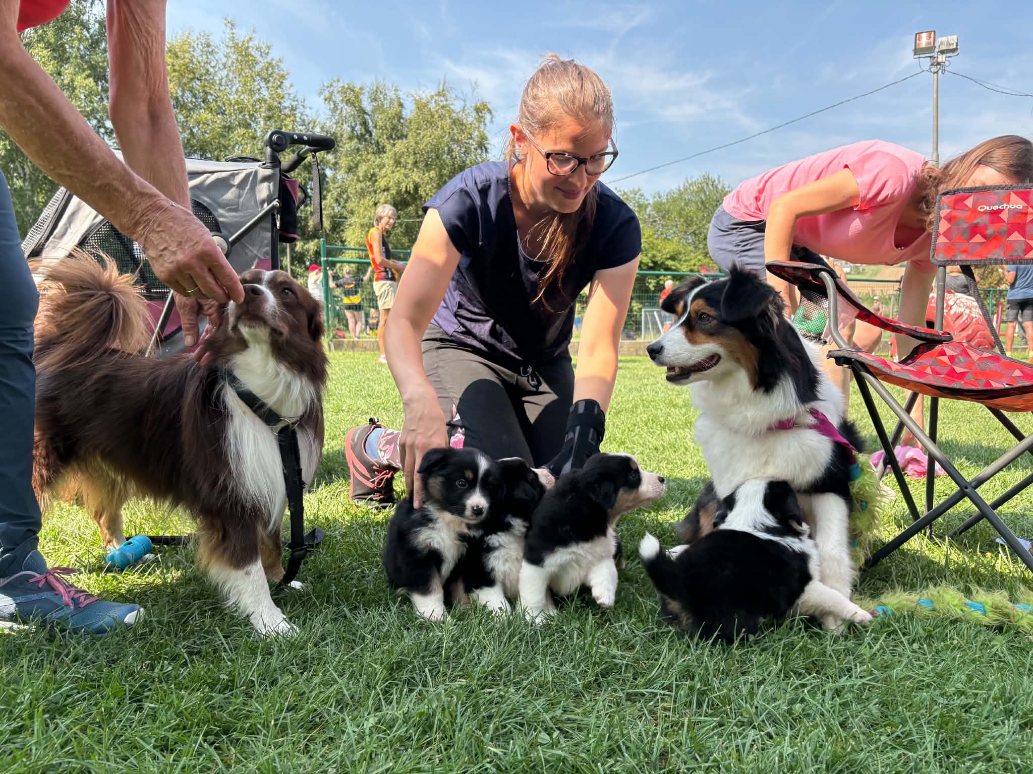 Chiot dans les coulisses d’un concours canin